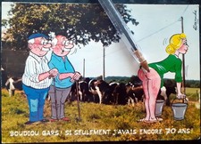 Série campagne belles d'occasion Série campagne belles d'occasion  Genlis