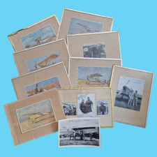 Documents aviation coli d'occasion  Rivesaltes