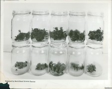 1969 photo containers for sale  Germantown