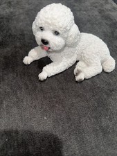 Bichon frise poodle for sale  Bethel Island