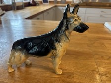 Alsatian german shepherd for sale Alsatian german shepherd for sale  MILTON KEYNES