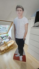Niall horan one for sale  THATCHAM