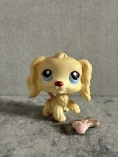 Littlest pet shop usato  Napoli