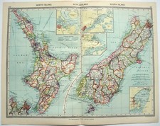 New zealand large for sale  Sayville