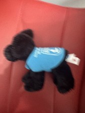 Guide dogs puppy for sale  UPMINSTER