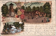Gruss vom aussichtsturm gebraucht kaufen  Bad Bergzabern