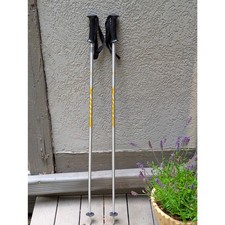 Swix mountain ski for sale  Frisco
