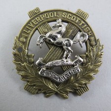 Military badge 10th for sale  LONDON