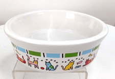 Cat kitten 1.75 for sale  Littleton