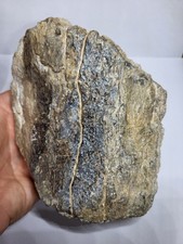Museum quality sauropod for sale  SOLIHULL