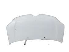 Motorhaube frontklappe haube gebraucht kaufen  Linkenheim-Hochstetten