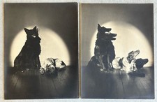 Lot photo vintage d'occasion  Expédié en Belgium