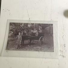 Old postcard pony for sale  FARNHAM