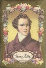 Vincenzo bellini calendarietto usato  Italia