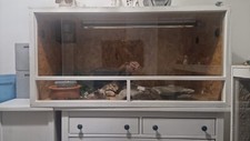 Terrarium 120x60x60 weiß gebraucht kaufen  Wiesbaden