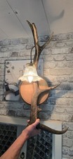 Antik wandlampe geweih gebraucht kaufen  Fockbek