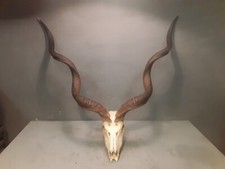 Vecchio grande trofeo usato  Brescia