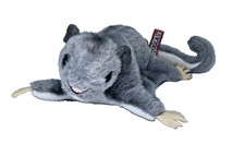 Douglas squeak sugar for sale  Vincentown