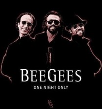 Bee gees one usato  Sesto Fiorentino