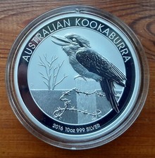 kookaburra for sale kookaburra for sale TAVISTOCK