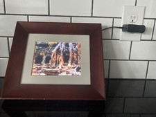 Phillips digital photo for sale  Melbourne