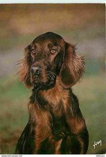 Animaux chiens setter d'occasion  Fruges