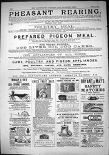 Old print 1884 for sale  UK