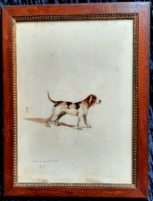 Aquarelle ancienne animalier d'occasion  France