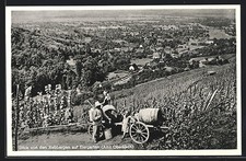Tiergarten berkirch weinlese gebraucht kaufen  Berlin