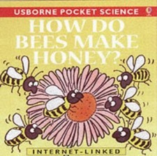 Bees make honey for sale  USA