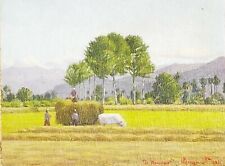 Bargis stefano maggengo usato Bargis stefano maggengo usato  Barge