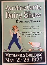 Ayrshire cattle dairy for sale  San Marcos