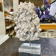 13,31 funta Zhonglai Wewnętrzna Mongolia Naturalna poranna chwała Kryształ Kwarc Minerał, używany na sprzedaż  Wysyłka do Poland