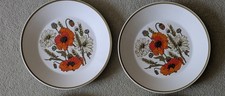 Poppy pattern dinner for sale  LONDON