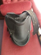 Child beginners horse for sale  BALA