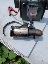 sharknose for sale sharknose for sale Manitowoc