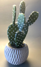 Faux cactus plant for sale  Roswell
