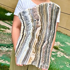 14,96 funta rzadki kamień ze wzorem zebra | oczyszczanie energii | eksponat kolekcjonerski na sprzedaż 14,96 funta rzadki kamień ze wzorem zebra | oczyszczanie energii | eksponat kolekcjonerski na sprzedaż  Wysyłka do Poland