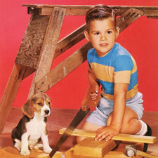 Beagle boy cutting for sale  Portland