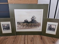 Gemälde serie ernst gebraucht kaufen  Thurnau