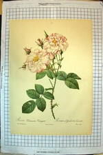 Antique old print d'occasion  Expédié en Belgium