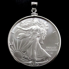 Coin pendant 2025 for sale  Myrtle