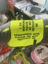 Harnesses for sale Harnesses for sale ORPINGTON