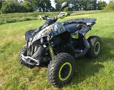 Quad can renegade gebraucht kaufen  Wittenberg