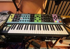Moog matriarch sintetizzatore usato  Matraia