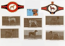 Rhodesian ridgeback vintage usato  Spedire a Italy
