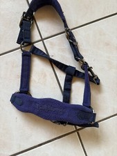 pony headcollar for sale pony headcollar for sale BELFAST