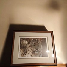 Beautiful carl brenders for sale  Somerset
