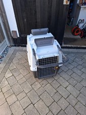 Skudo dog cat for sale  SOUTHEND-ON-SEA