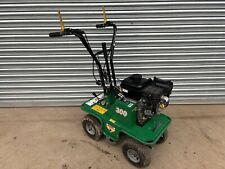 Active 300 turf for sale  NORWICH